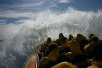 Jetboating Sydney - Melbourne Tourism 1