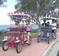 Beach Safaris - Melbourne Tourism