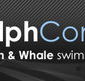 Dolphcom - Dolphin  Whale Swimming Adventures - Melbourne Tourism