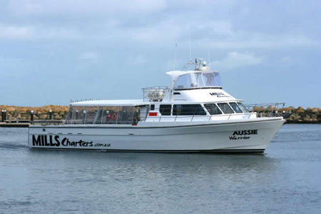 Mills Charters Fishing And Whale Watch Cruises - Melbourne Tourism 1