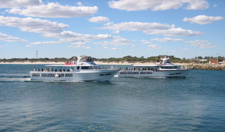 Mills Charters Fishing And Whale Watch Cruises - Melbourne Tourism 2
