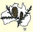 Australian National Botanic Gardens - Melbourne Tourism