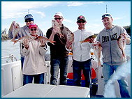 Odyssey Charters - Melbourne Tourism 2