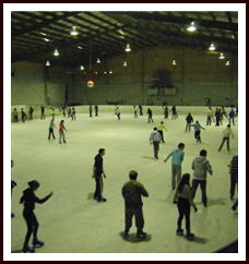 Bendigo Ice Stadium - Melbourne Tourism 1