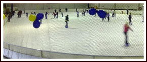 Bendigo Ice Stadium - Melbourne Tourism 2