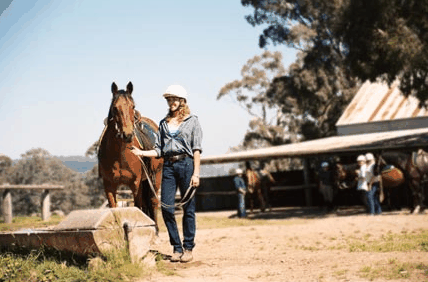 Watsons Trail Rides - Melbourne Tourism