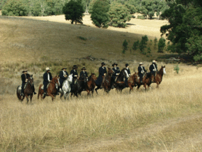 McCormacks Mountain Valley Trail Rides - Melbourne Tourism