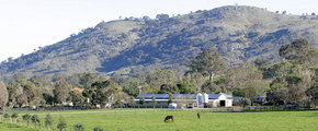Blue Gum Farm - Melbourne Tourism 1