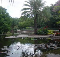 Brisbane City Botanic Gardens - Melbourne Tourism