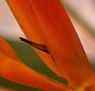 Zen Day Spa - Melbourne Tourism