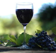 Lion Mill Vineyards - Melbourne Tourism