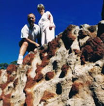 Mystery Craters - Melbourne Tourism 2