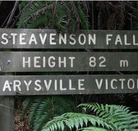 Stevensons Falls - Melbourne Tourism