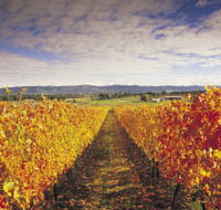 Link Tours - Melbourne Tourism