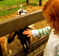 Collingwood Children's Farm - Melbourne Tourism