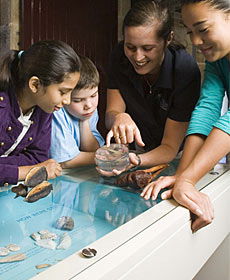 The Rocks Discovery Museum - Melbourne Tourism 3