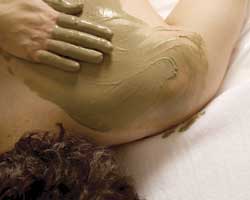 Alkaline Spa & Clinic - Melbourne Tourism 2