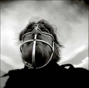 Australian Centre For Photography - Melbourne Tourism 3