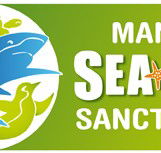 Manly SEA LIFE Sanctuary - Melbourne Tourism