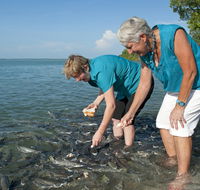 Aquascene Fish Feeding Sanctuary - Melbourne Tourism