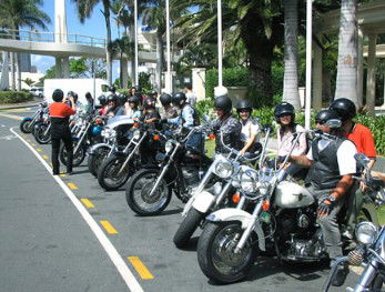 Wildfire Tours - Melbourne Tourism 1