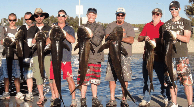 BKs Gold Coast Fishing Charters - Melbourne Tourism 1