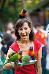 Currumbin Wildlife Sanctuary - Melbourne Tourism 10
