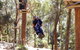 Currumbin Wildlife Sanctuary - thumb 11