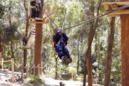 Currumbin Wildlife Sanctuary - Melbourne Tourism 11
