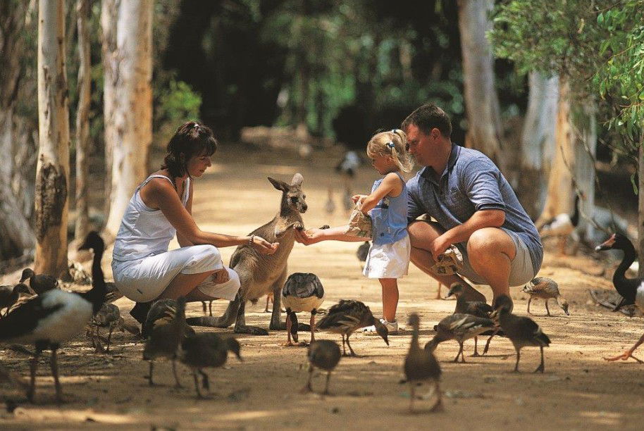 Rowes Bay QLD Melbourne Tourism