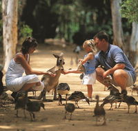 Billabong Sanctuary - Melbourne Tourism