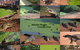 The Malcolm Douglas Crocodile Park - thumb 0