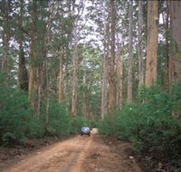 Boranup Drive - Melbourne Tourism