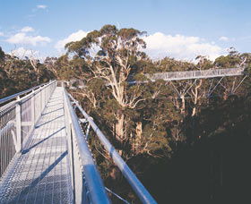  Melbourne Tourism