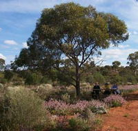 Karlkurla Bushland Park - Melbourne Tourism