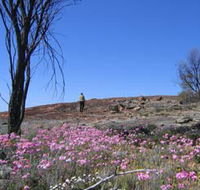 Talgomine Reserve - Melbourne Tourism