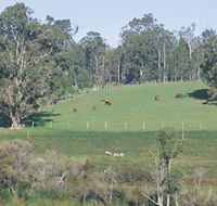 Scenic Drives - Bunbury Collie Donnybrook - Melbourne Tourism
