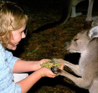 Discovery Bay's Walk on the Wild Side - Melbourne Tourism