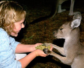 Discovery Bay's Walk On The Wild Side - Melbourne Tourism 0