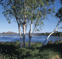Celebrity Tree Park - Melbourne Tourism