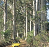 Mount Shadforth Scenic Drive - Melbourne Tourism