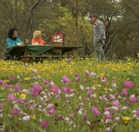 Gwambygine Park - Melbourne Tourism