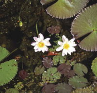 Parry Lagoons Nature Reserve - Melbourne Tourism