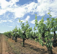 Blackwood Meadery - Melbourne Tourism