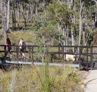 Forest Path Crooked Brook - Melbourne Tourism
