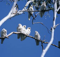 Carawine Gorge - Melbourne Tourism
