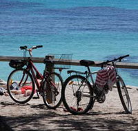 Parker Point Marine Snorkel Trail - Melbourne Tourism