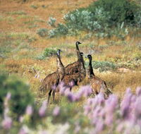 Jurabi Coastal Reserve - Melbourne Tourism