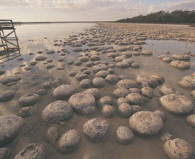 Yalgorup National Park - Melbourne Tourism 0