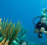 Coastal Water Dive - Melbourne Tourism